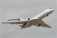 Rodrigo Carvalho - Noisy Spotters. Click to see full size photo
