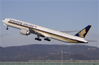 Jos Miguel Bernases - Noisy Spotters. Click to see full size photo