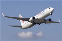 Jos Miguel Bernases - Noisy Spotters. Click to see full size photo