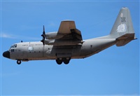 Alejandro H.L - Gran Canaria Spotters. Click to see full size photo