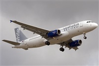 ©Juan Antonio López Delgado, Asociación de Spotters de Canarias (Canary Islands Spotting). Click to see full size photo ©Juan Antonio López Delgado, Asociación de Spotters de Canarias (Canary Islands Spotting). Click to see full size photo