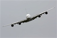 Rodrigo Carvalho - Noisy Spotters. Click to see full size photo
