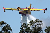 Click here to see full size photo