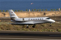 Javier de la Cruz - CANARY ISLANDS SPOTTING. Haz click para ampliar