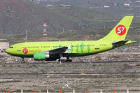 Alfonso Sols - Asociacin Canary Islands Spotting. Click to see full size photo