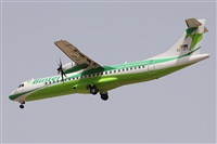 Alfonso Sols - Asociacin Canary Islands Spotting. Haz click para ampliar