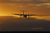 Robert J Cijntje. Click to see full size photo