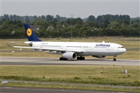 Javier de la Cruz - CANARY ISLANDS SPOTTING. Click to see full size photo