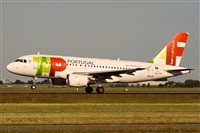 Javier de la Cruz - CANARY ISLANDS SPOTTING. Click to see full size photo