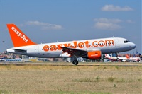 Miguel A. gueda Rguez.  (CANARY ISLANDS SPOTTING). Click to see full size photo