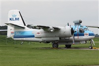 ©Alfonso Solís - Asociación Canary Islands Spotting. Click to see full size photo ©Alfonso Solís - Asociación Canary Islands Spotting. Click to see full size photo