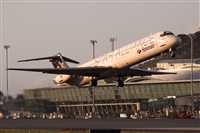 Javier de la Cruz - CANARY ISLANDS SPOTTING. Click to see full size photo