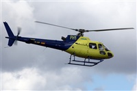 Adrin Alonso Lemes - Lanzarote Spotters. Click to see full size photo
