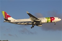 Rui Alves - Madeira Spotters. Haz click para ampliar