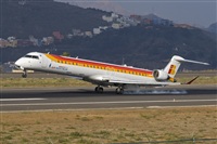 Javier de la Cruz - CANARY ISLANDS SPOTTING. Click to see full size photo