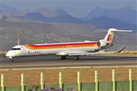 Miguel A. gueda Rguez.  (CANARY ISLANDS SPOTTING). Click to see full size photo
