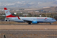 Luciano Fumero( freedom spotter)canary island spotting. Click to see full size photo