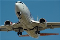 Justo Miguel Prieto. ( Malaga Spotters). Click to see full size photo