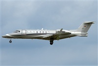 Jos Miguel Bernases - Noisy Spotters. Click to see full size photo