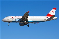 Adolfo Bento - Gran Canaria Spotters. Click to see full size photo
