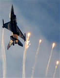 Tams. Click to see full size photo