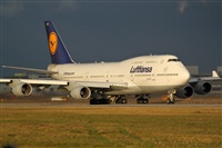 Miguel Alia - Noisy Spotters. Click to see full size photo