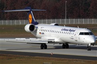 Miguel Alia - Noisy Spotters. Click to see full size photo
