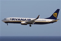 ©Alfonso Solís - Asociación Canary Islands Spotting. Click to see full size photo ©Alfonso Solís - Asociación Canary Islands Spotting. Click to see full size photo