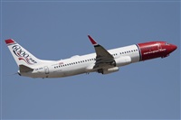 Miguel Alia - Noisy Spotters. Click to see full size photo