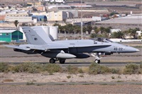 Alfonso Sols - Asociacin Canary Islands Spotting. Click to see full size photo