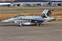 J. Victor Vega-Gran Canaria Spotters. Click to see full size photo