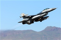 Florencio Martn Melin - Lanzarote Spotters. Click to see full size photo