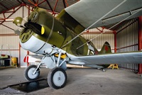 Conrad Miquel Antich. Click to see full size photo
