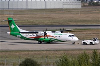 Rodrigo Carvalho - Noisy Spotters. Click to see full size photo