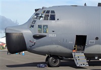 Manuel  LLama  -  Costa Del Sol Spotting Aviation. Haz click para ampliar