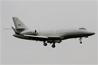 Rodrigo Carvalho - Noisy Spotters. Click to see full size photo
