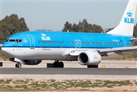Miguel Alia - Noisy Spotters. Click to see full size photo