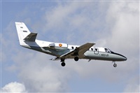 Paco Muoz Arencibia - Gran Canaria Spotters. Click to see full size photo