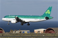 ©Adolfo Bento - Gran Canaria Spotters. Click to see full size photo ©Adolfo Bento - Gran Canaria Spotters. Click to see full size photo