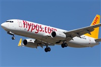 Miguel Alia - Noisy Spotters. Click to see full size photo