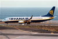 Javier de la Cruz - CANARY ISLANDS SPOTTING. Click to see full size photo