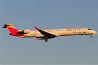 LEBL Spotter. Click to see full size photo