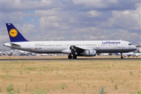 Miguel A. gueda Rguez.  (CANARY ISLANDS SPOTTING). Click to see full size photo