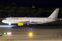 Javier de la Cruz - CANARY ISLANDS SPOTTING. Click to see full size photo
