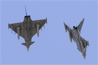 JF Alemn-GranCanariaSpotters. Click to see full size photo