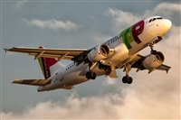 Javier de la Cruz - CANARY ISLANDS SPOTTING. Click to see full size photo
