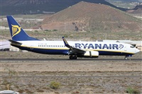 ©Alfonso Solís - Asociación Canary Islands Spotting. Click to see full size photo ©Alfonso Solís - Asociación Canary Islands Spotting. Click to see full size photo