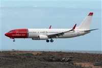 ©Adolfo Bento - Gran Canaria Spotters. Click to see full size photo ©Adolfo Bento - Gran Canaria Spotters. Click to see full size photo