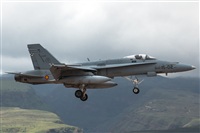 Bartolom Fernndez - Gran Canaria Spotters. Click to see full size photo