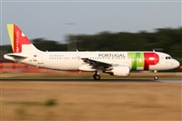 Rubn Gil - Noisy Spotters. Click to see full size photo